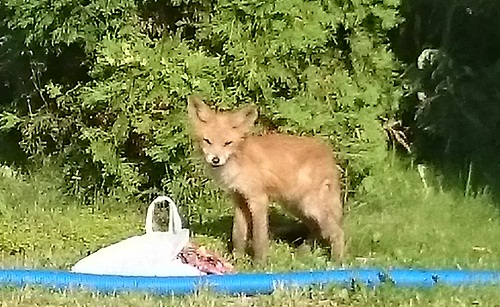 �������