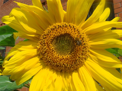 ��������� � �����